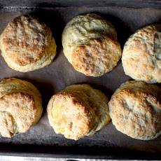 My Favorite Buttermilk Biscuits