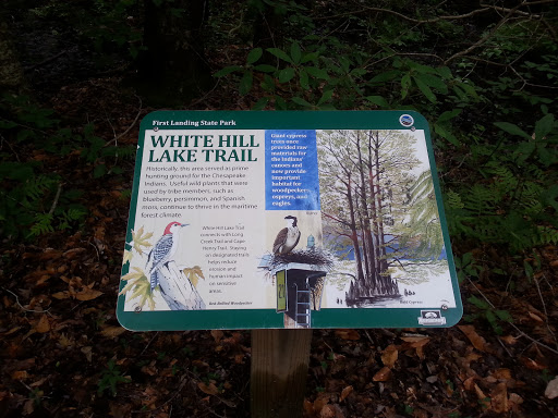White Hill Lake Trail
