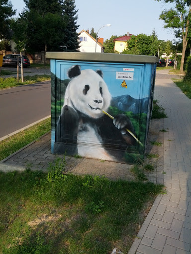 Panda Trafo