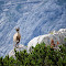 DSC_0078-2.jpg