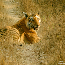 Simply Sunderbans! (Bangladesh)
