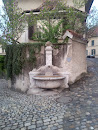 Limestone Fountain with Shell