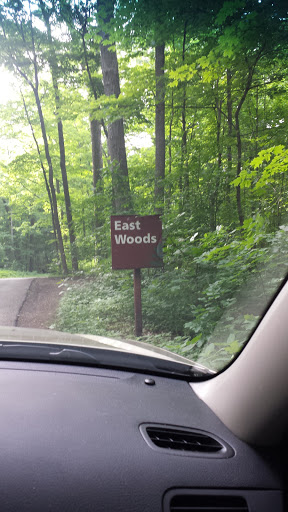 Morton arboretum East Woods