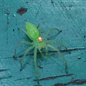 Magnolia Green jumper