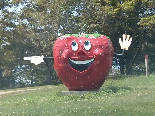 The Great Big Strawberry Statue 