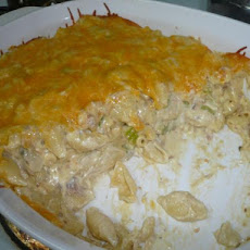 Creamy Tuna and Shells Casseroles
