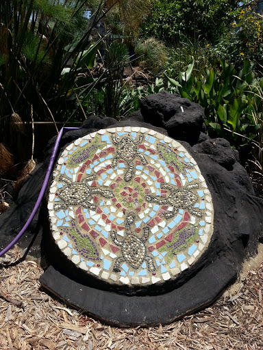 Cityfarm Turtle Mosaic