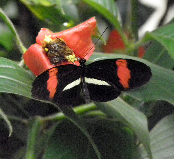 Spotting Image 1