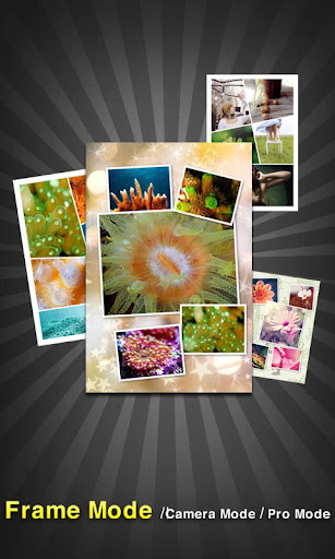 PicFrame Pro - Photo Collage