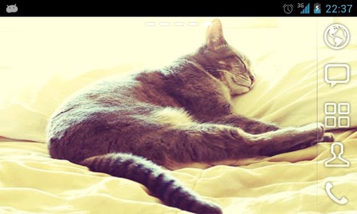 How to download Sleeping Cat Live Wallpaper build-0100 unlimited apk for android