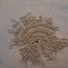 Sand ball