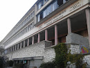 Institut Dolomieu