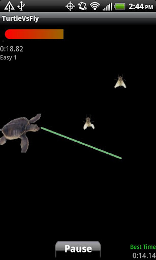 Turtle Vs Fly