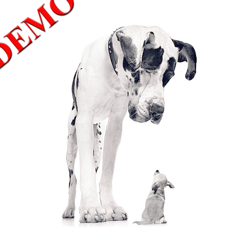 Hundar i Världen: Demo LOGO-APP點子