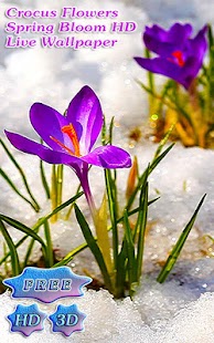 How to get Blossom Flower Crocus Buds patch 1.5.6 apk for pc