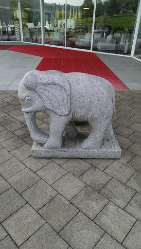 Elephant and Red Carpet