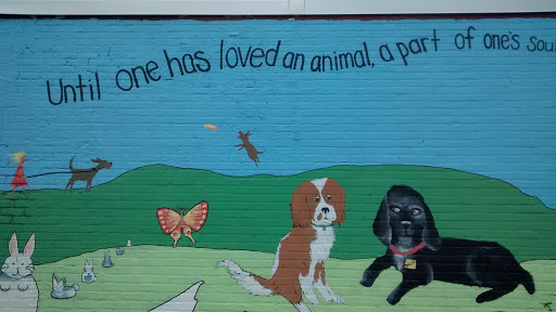 Pet Clinic Mural