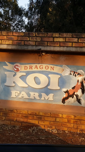 Dragon Koi Farm Mural