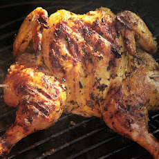 Grilled Butterflied Chicken