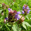 Selfheal