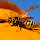 Wasatch Wildlife