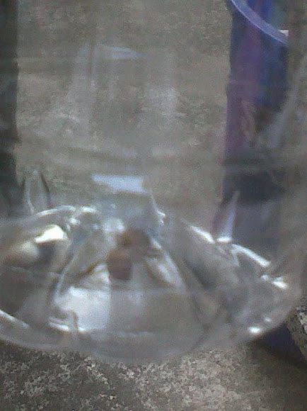 Spotting Image 1