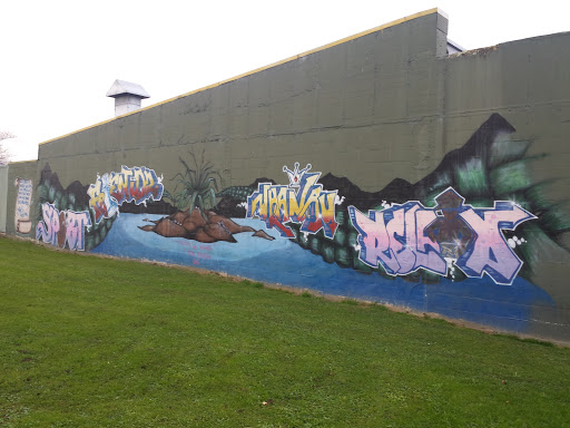 Graffiti Art Wall 