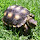 ArtexSquared