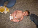 IMG_0268.jpg