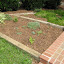 Pharmacokatie's Herb garden