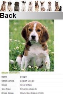 How to get Top Best Dog Breeds 1.0.0 mod apk for bluestacks