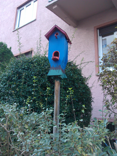 S - Birdys Home