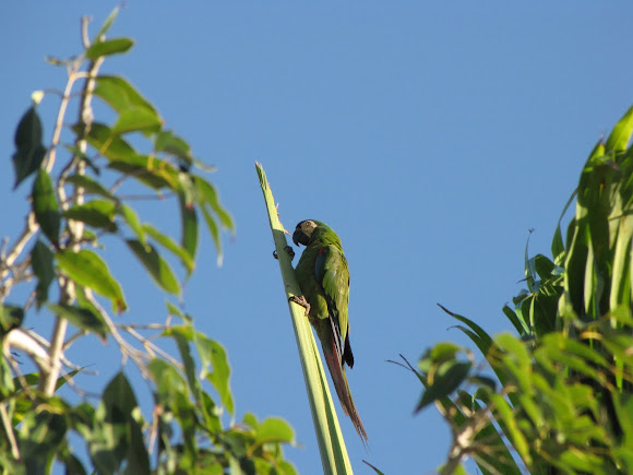 Spotting Image 1