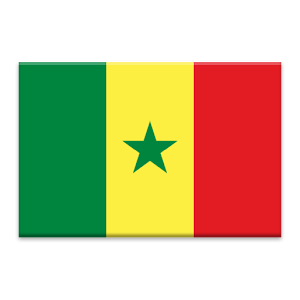 Senegal News Pro