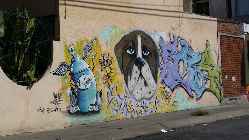 Graffitti Dog Style