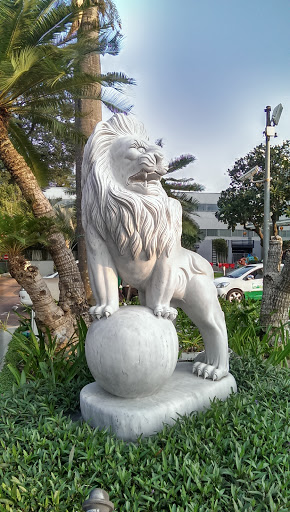 Petro Vietnam Lion 