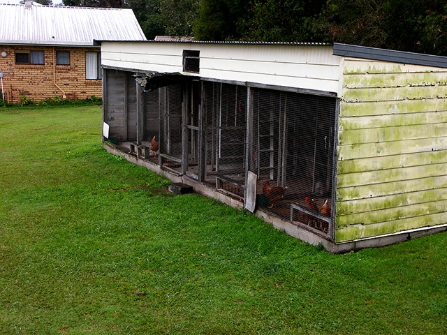 [Gympie 23rd July 2008 010a[5].jpg]