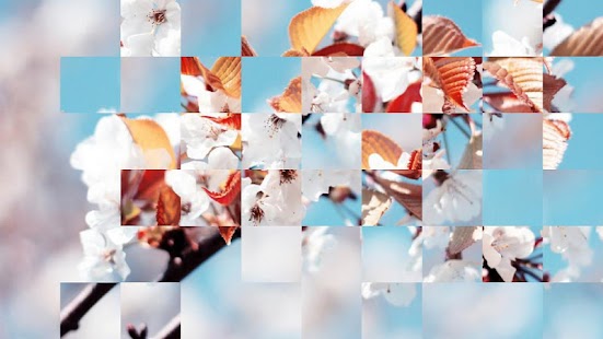 How to install Nature Puzzle lastet apk for pc