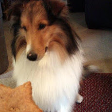 Peanut Butter Treats for Dogs