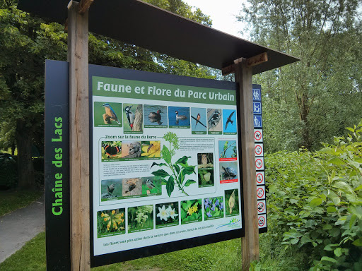 Villeneuve-d'Ascq, Faune Et Flore Du Parc Urbain