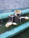 Mushroom Waterfalls