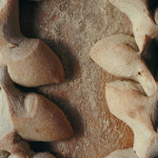 Crusty Cornstalk Rolls