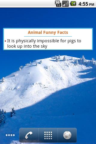 Funny Facts