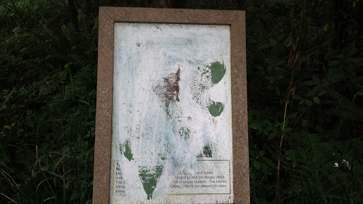 Defaced Trail Sign