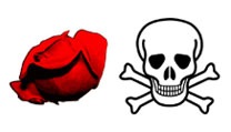 slots rose and skull