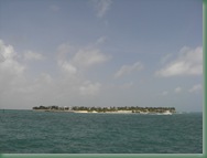 CIMG0455