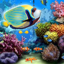 Ocean Aquarium Live Wallpaper mobile app icon