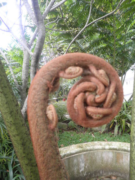 Spotting Image 1