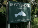 Bond Brook Stream 