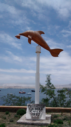 Delfín Mirador Cousteau